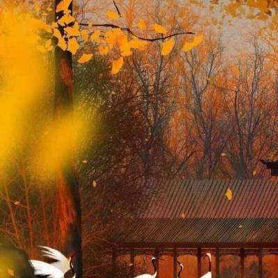 北京市属10家公园 春节假期免费